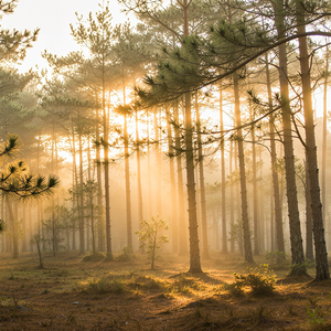 究竟要多少眼泪 才能把心碎熬成无所谓