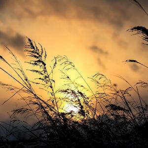 其实我想说的还有很多