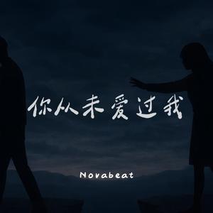 你从未爱过我
