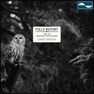 The Focus of a Downy Woodpecker