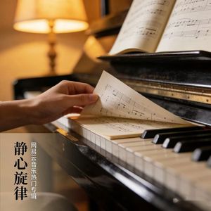 学习工作缓解焦虑的放松纯音乐- (1)