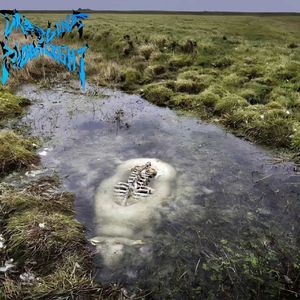 左猜右想Prod-onidtnom