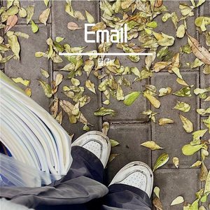 Email（demo）