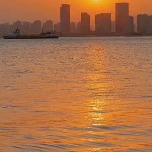 冬去花开花又败(原唱 利明)