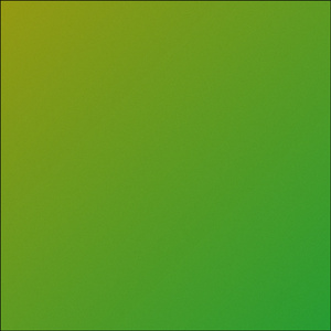 YALE (Cover)