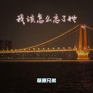 我该怎么忘了她