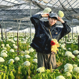 后陡门的夏(1).mp3