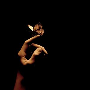 Перехрестя