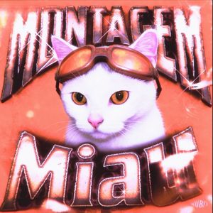Montagem Miau (阿米嘎蒂朵哇哇)