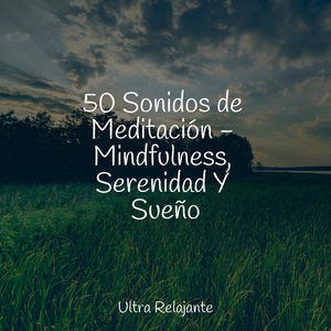 Gotas De Rocío En La Ventana