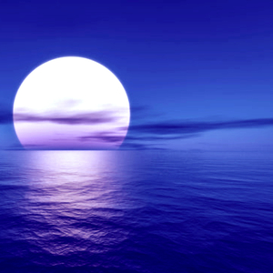 Yeaaaa (Thrax + Tana)