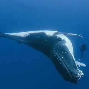 喜欢喜欢你的自己