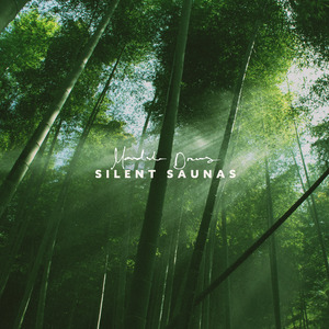 Silent Saunas