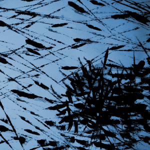 메아리 (Feat. Kid Wine)