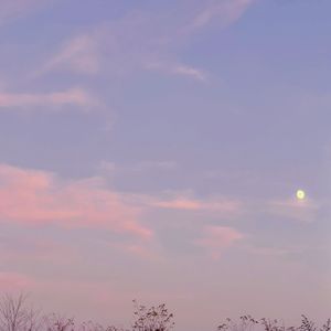 敕勒歌（cover谭维维）