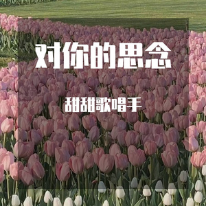 太想念-甜甜歌唱手