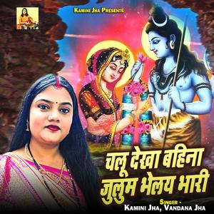 Chalu Dekha Bahina Julum Bhelay Bhari