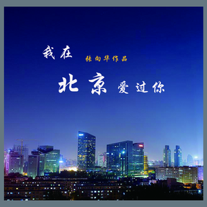 我在北京爱过你