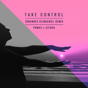 Take Control (Remix [Radio Edit])