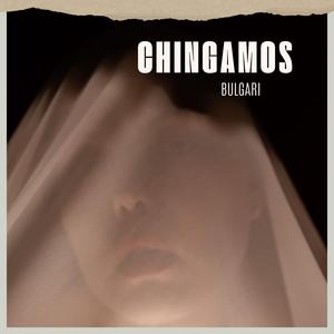 Chingamos