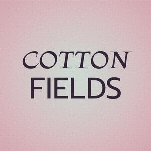 Cotton Fields