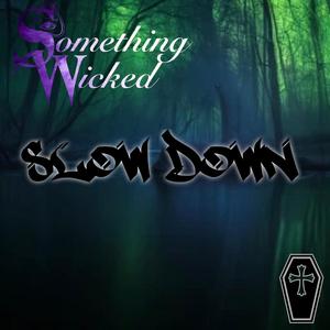 Slow Down (feat. D. Rotten & Euphonic Aspekt)