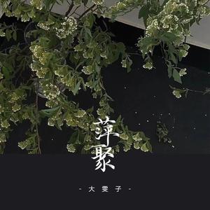 萍聚 (抒情版)