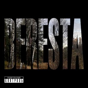 BERESTA