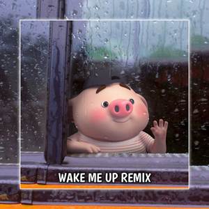 Wake Me Up Remix