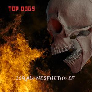 LAST NUMBER (TOP DOGS)