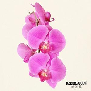 Orchids