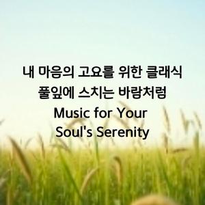 내 마음의 고요를 위한 클래식 풀잎에 스치는 바람처럼/ Music for Your Soul's Serenity
