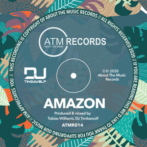 Amazon (Original Mix)