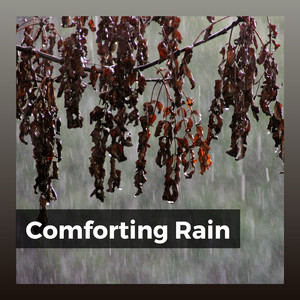 Gentle Rain Sounds