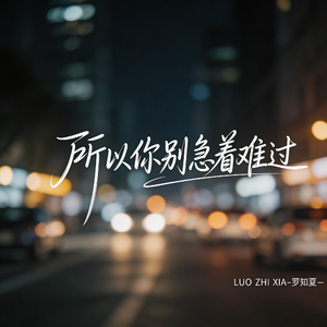 所以你别急着难过（抒情版）