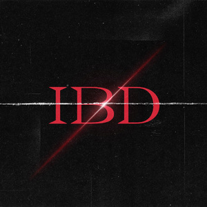 IBD（Prod.gr33nart beats)
