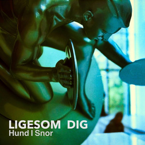 Ligesom dig