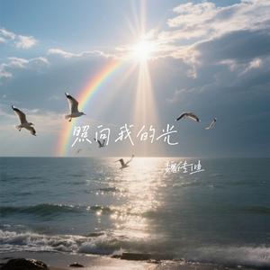 照向我的光
