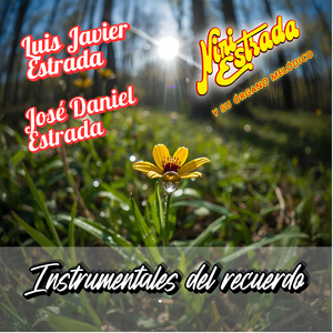 EL LAGO DE LOS CISNES