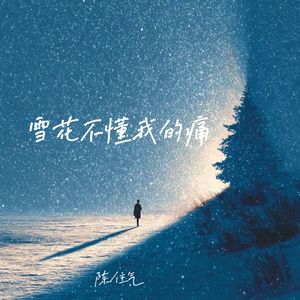 雪花不懂我的痛(DJ九零版)