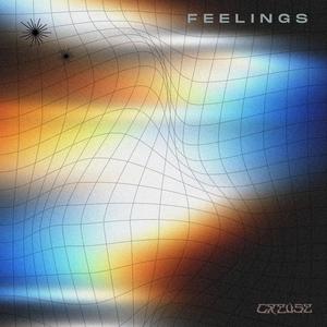 Feelings