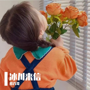 蝴蝶的慢动作振翅