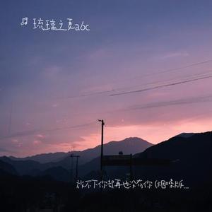 放不下你却再也没有你 (烟嗓版)