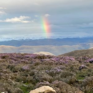 《国风电子的文化探索之旅》05