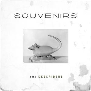 Rodents