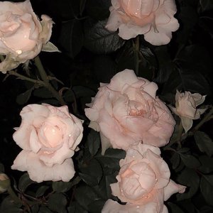 深夜随笔，十，分嘞抽象