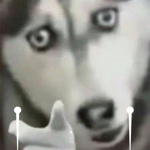 emo 给我哭！！！