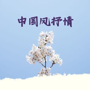 国风大提 浮生一梦