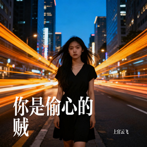 你是偷心的贼
