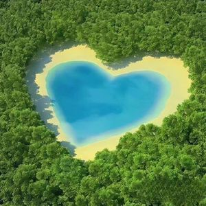 Ref:rain(Cover Aimer)